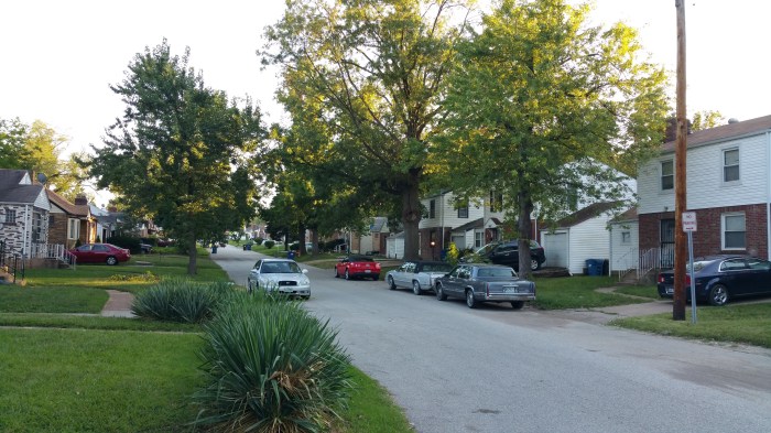 Newell Looking South 091615